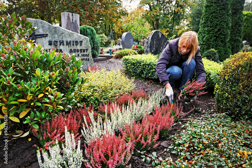 Planting Calluna on a Grave in Autumn, Germany