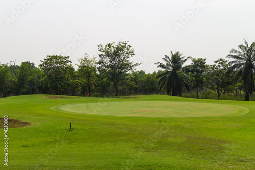 Golf course with red flag and tree on the white background