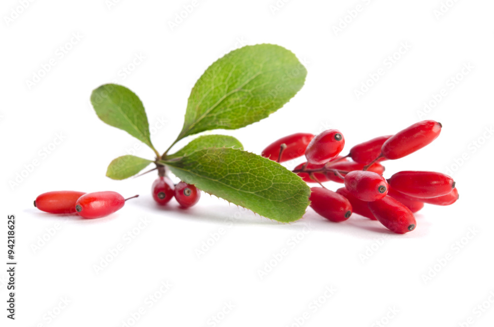 ripe barberries isolated on white background ripe barberries isolated on white background