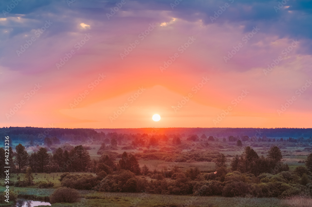 Obraz premium Beautiful Forest On Sunrise. Dramatic Sky With Sunset Sun Over S