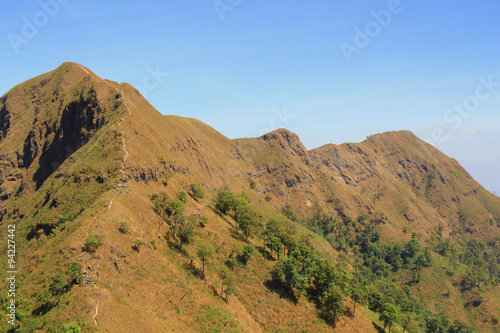 Adventurers wanted to climb this mountain in Thailand.