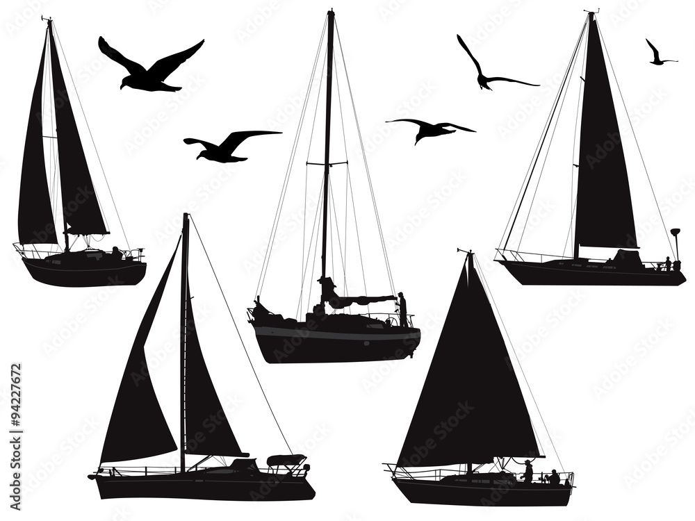 Fototapeta premium various sailing boats with birds in silhouette