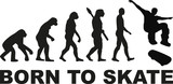 Born to skate evolution