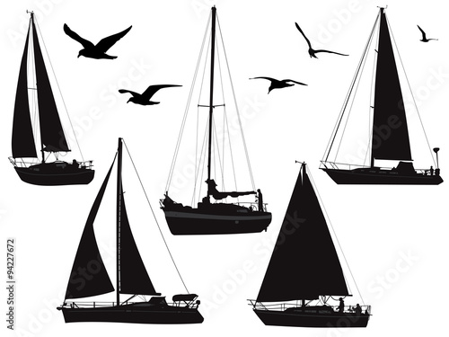 various sailing boats with birds in silhouette