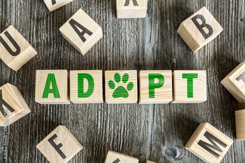 Canvas Print Wooden Blocks with the text: Adopt