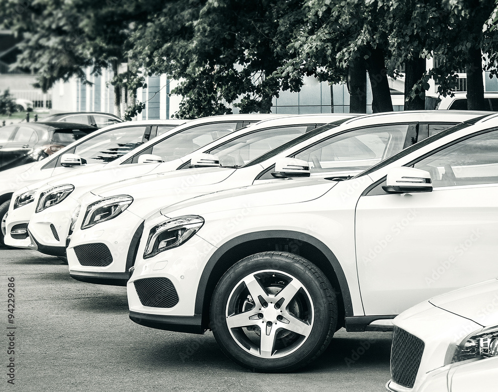 car dealer-center car dealer-center