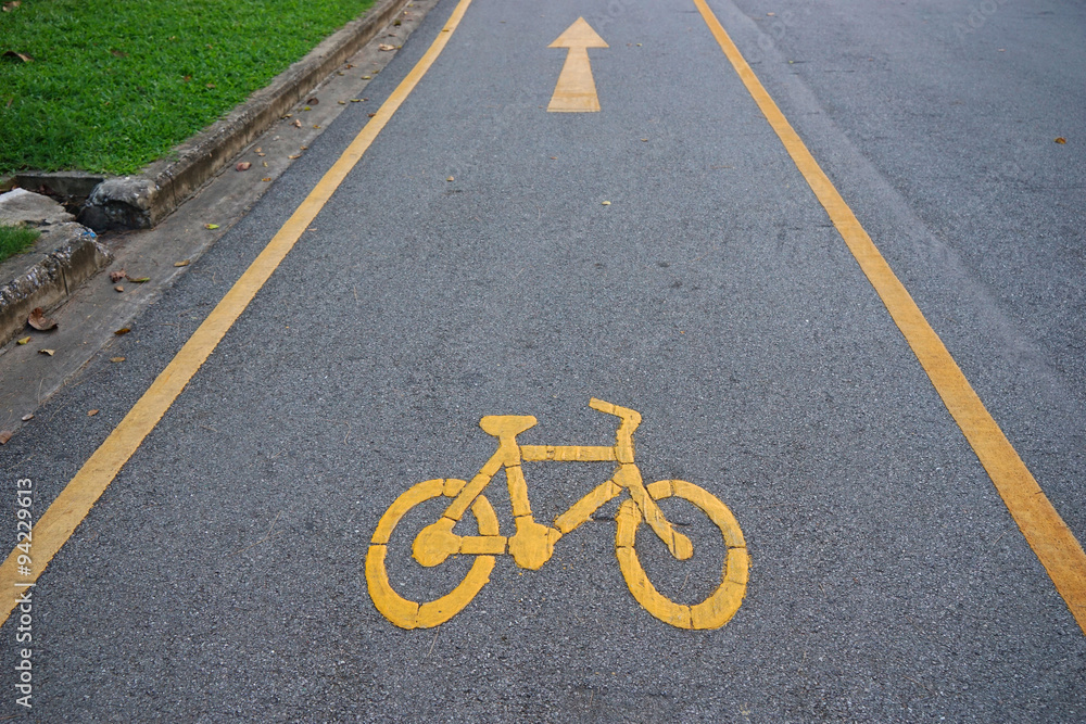 bycicle lane in the park bycicle lane in the park