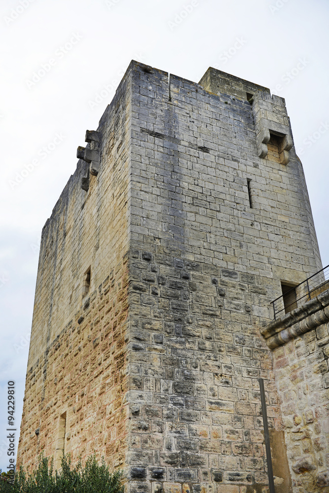 Camargue, torre medievale. Camargue, torre medievale.