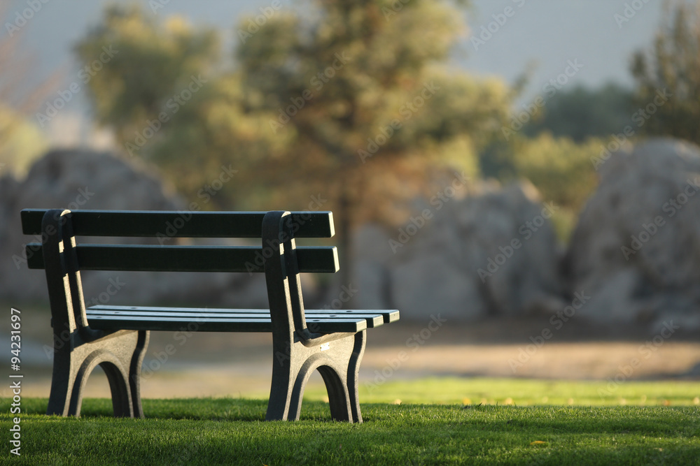 An empty bench at the park.