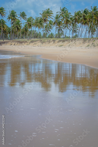 Fototapeta Naklejka Na Ścianę i Meble -  Brazilian Beaches-Pontal do Coruripe, Alagoas