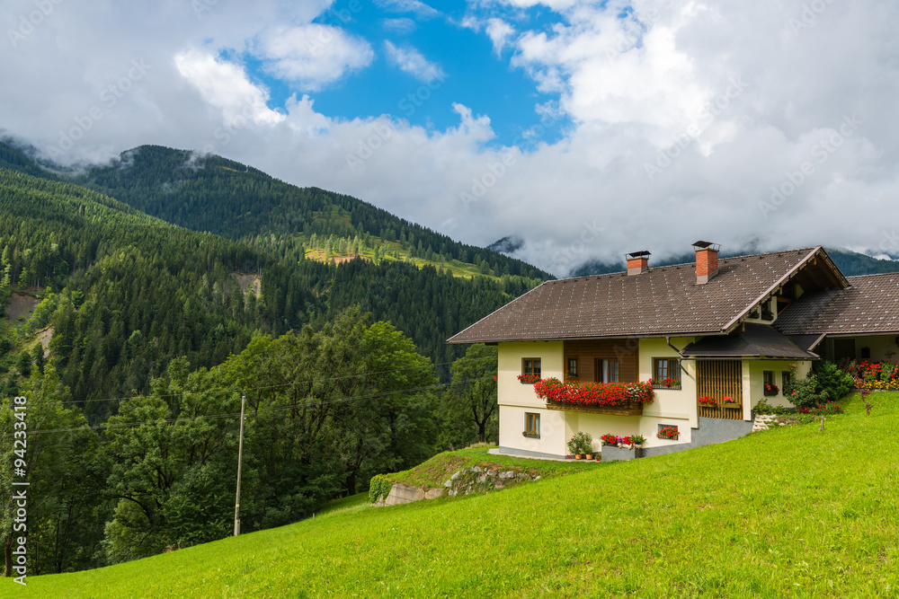 Traditional alpine house in green forest mountains