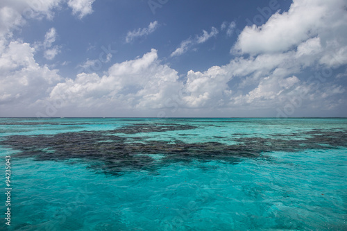 Shallow Reef in Caribbean Sea