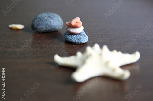 Starfish and pebbles.