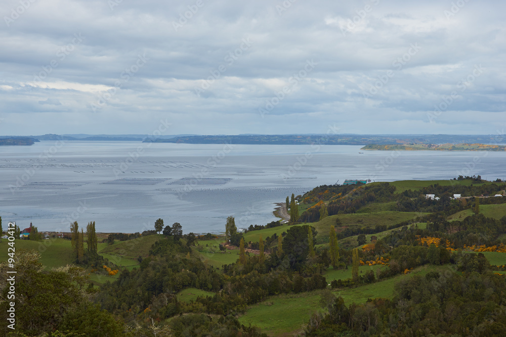 Lush vegetation and fields on the hills above a sheltered inlet filled with the buoys of the aquaculture industry on the small island of Quinchao in the archipelago of Chiloe in Chile.