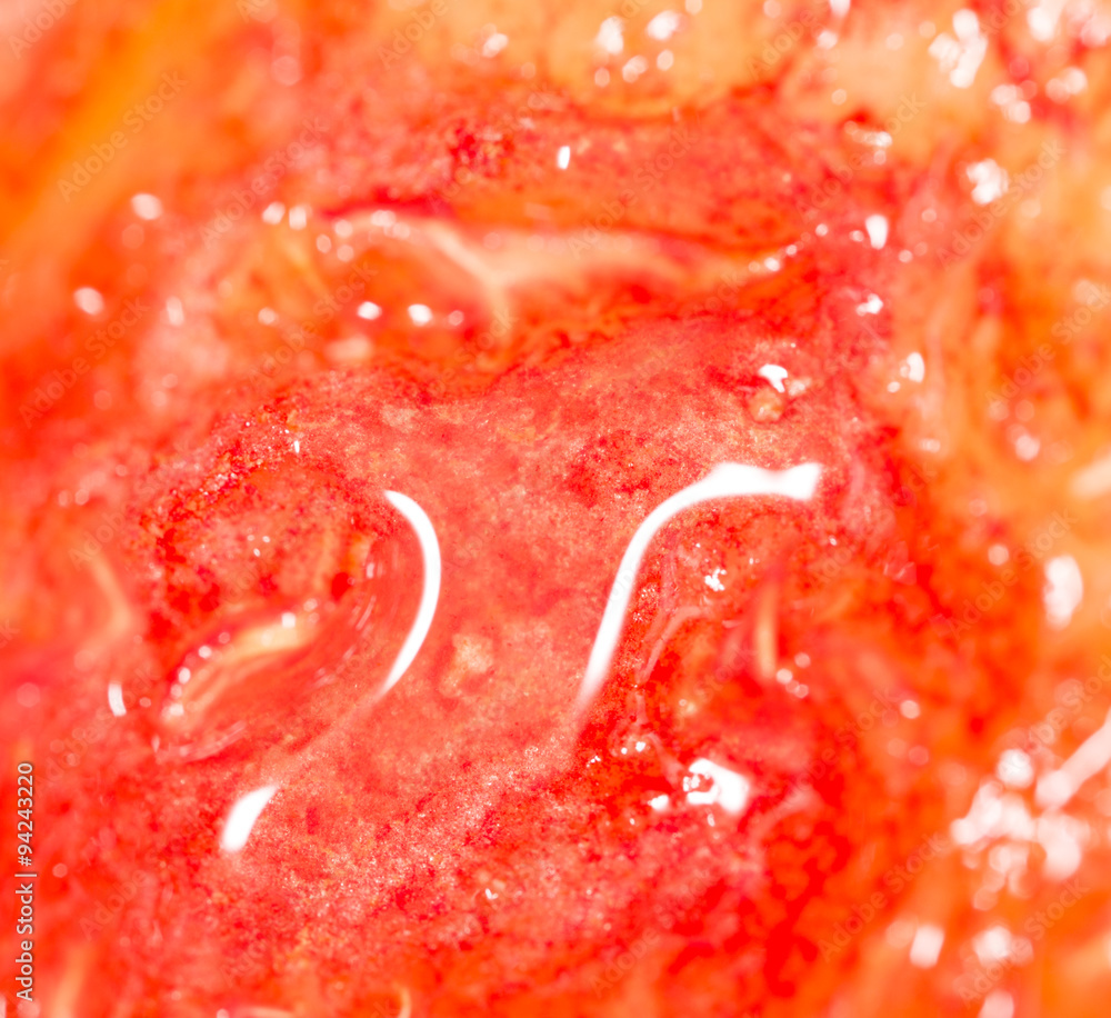 juicy peach flesh as a background. close juicy peach flesh as a background. close