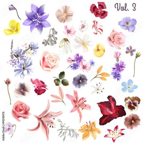 Mega collection of high detailed vector flowers for design