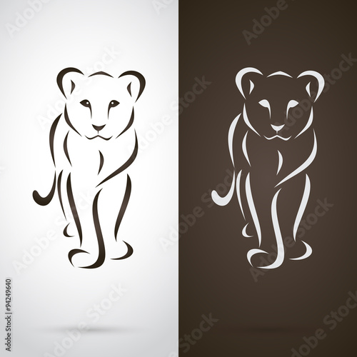 Fototapeta Naklejka Na Ścianę i Meble -  Vector image of a female lion design on white background and bro