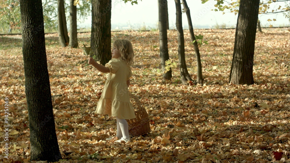Girl with a basket full of leaves at the autumn park Girl with a basket full of leaves at the autumn park