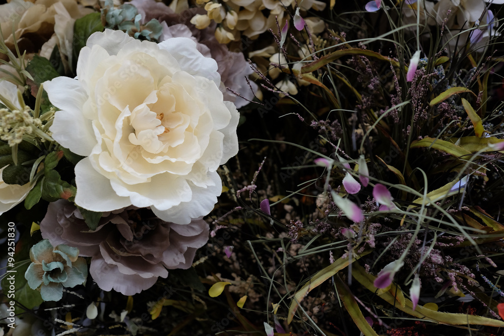 Single White Flower on Fall Background Colors with Room for Text Single White Flower on Fall Background Colors with Room for Text