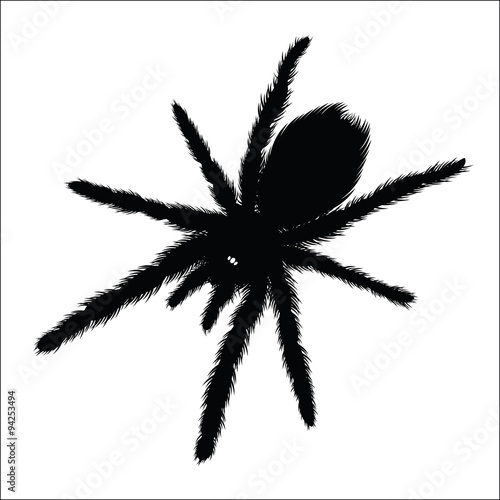 Big Spider silhouette
