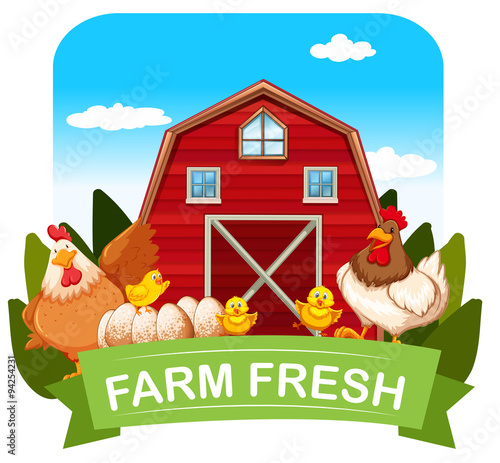 Farm fresh theme with chickens and barn