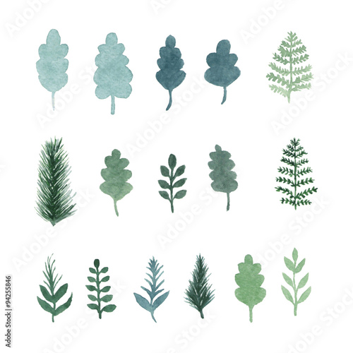 Collection of vector watercolor hand draw leaves and branches