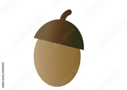 żołądź
