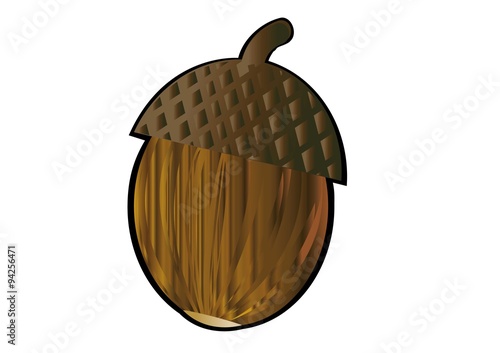 żołądź