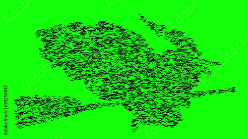 A flock of flying birds forms the witch flying on the Sabbath, green screen.