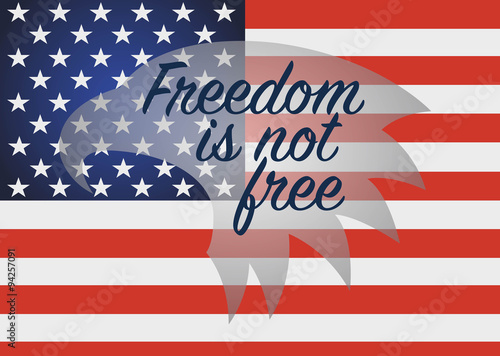 Freedpm is not free. Veterans Day Usa.