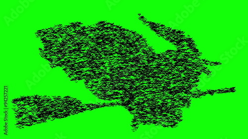 A duple flock of flying birds forms the witch flying on the Sabbath, green screen.
