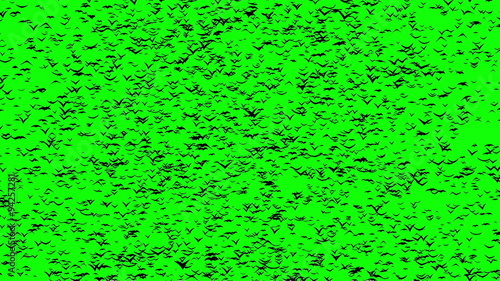 A duple flock of flying birds forms the witch flying on the Sabbath, green screen.