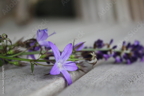 Purple flower on swing