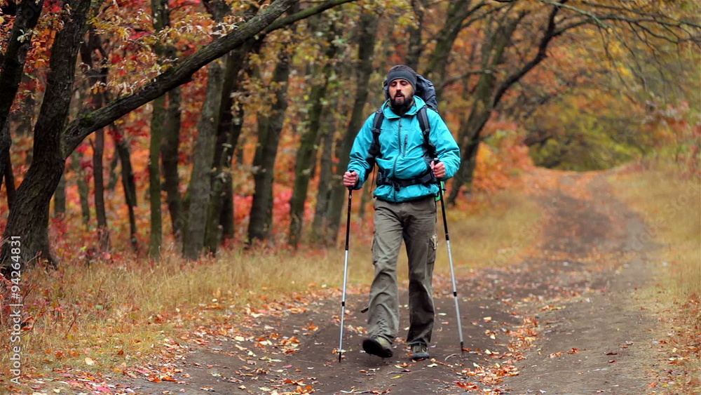 Man tourist in a blue jacket with a backpack goes in the autumn forest