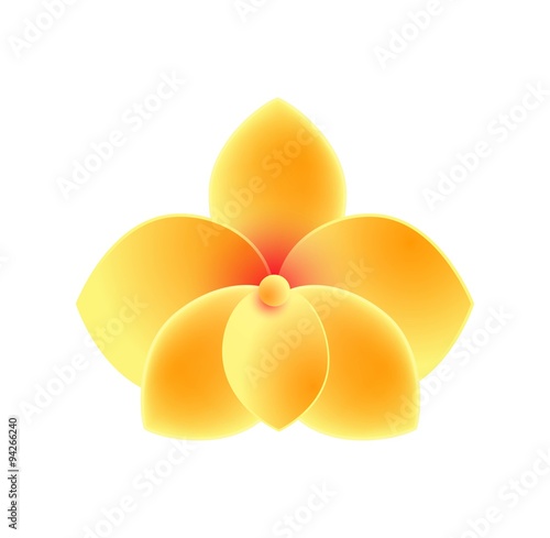 Beautiful Yellow Orchid