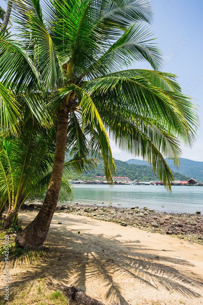 Obraz premium Beautiful tropical beach at island Koh Chang