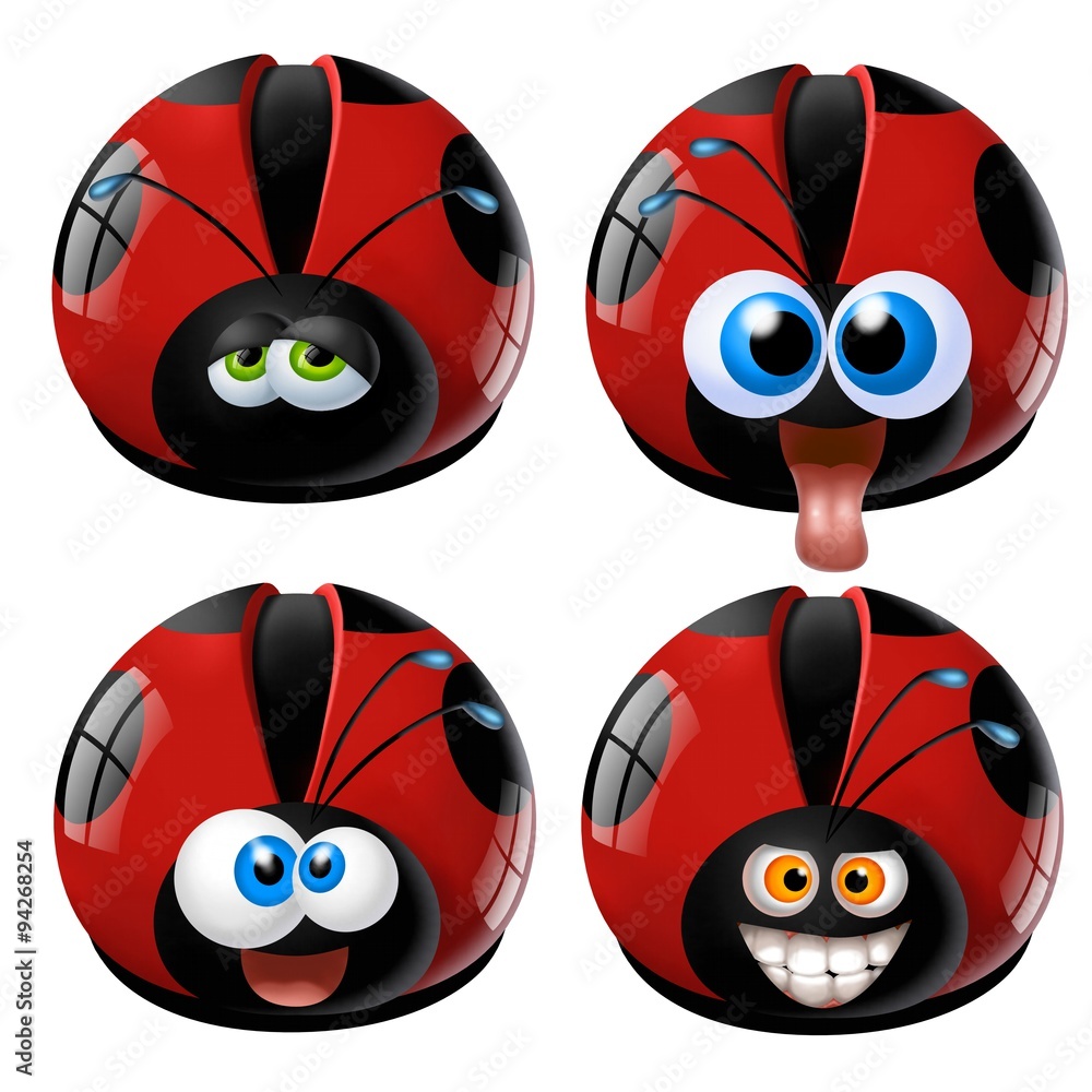 Fototapeta premium coccinella