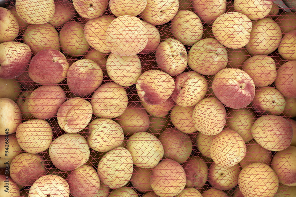 Close up of a box full of apricots, with a net over it Close up of a box full of apricots, with a net over it