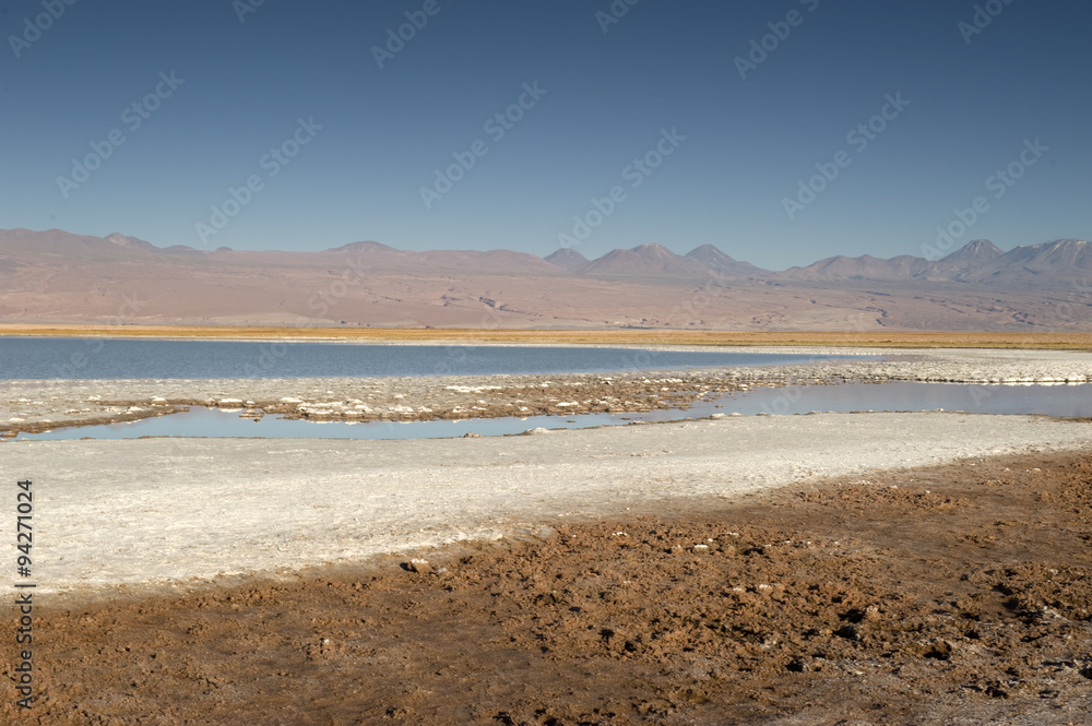 Cejas lagoon, Atacama desert, Chile