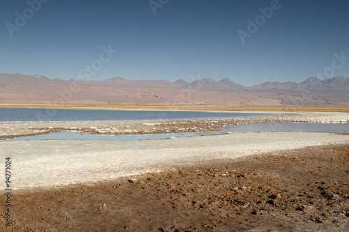 Cejas lagoon  Atacama desert  Chile