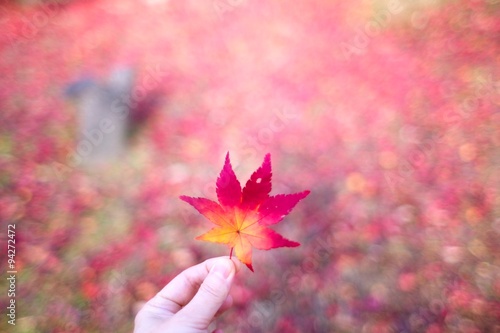 紅葉
