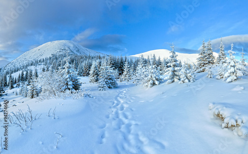 Morning winter mountain panorama.