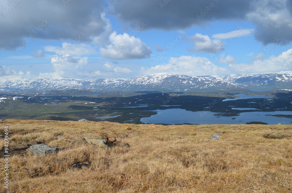 Brown marshland with view on lakes in valley, subarctic Lapland, Abisko