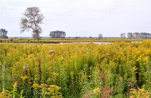 Fotografie Landscape on nature island Tiengemeten.
