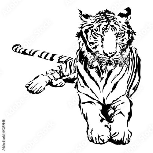 Fototapeta Naklejka Na Ścianę i Meble -  Tiger sitting.