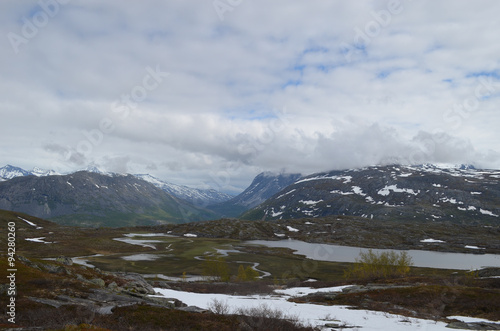 Subarctic tundra in Norwegian mountains