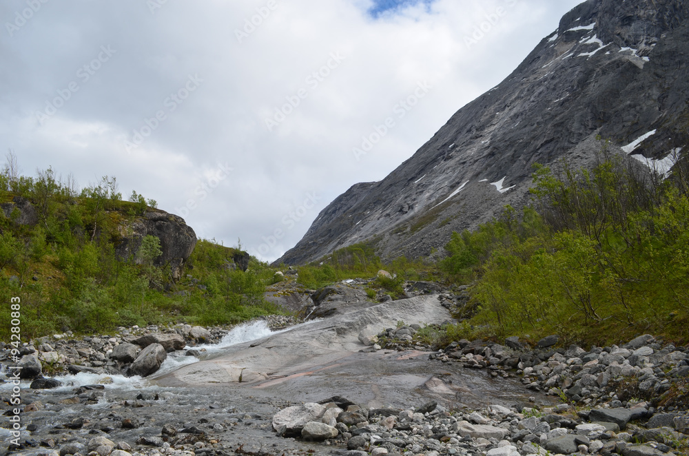 River lined by birch forest in subarctic Norwegian mountain valley