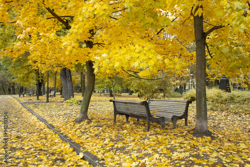 Autumn park in Kiev