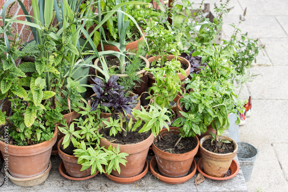 herbs / Flower pots with herbs and vegetables herbs / Flower pots with herbs and vegetables