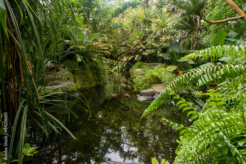 Tropenwald mit Teich